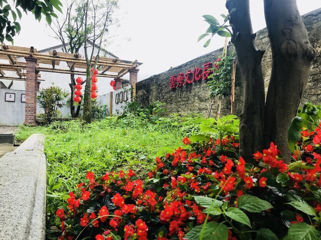 一大学教授谈乡村振兴,根本就是要解决钱从哪