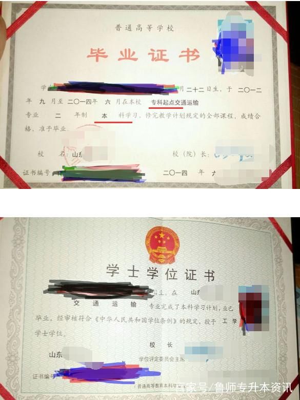 山东专升本第一学历是什么?是专科还是本科?