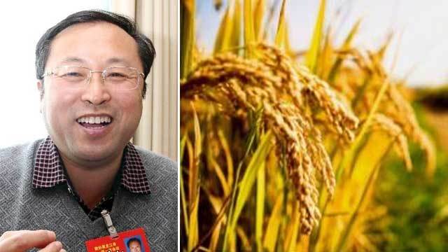 潘国君:创新+韧劲培育精品 为粮食安全保驾护航 潘国君:创新+韧劲培育精品 为粮食安全保驾护航