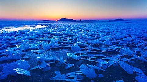 江上开冰花，山间飞冰蝶，红日映雾凇！这些冬日限定美景真绝绝子→
