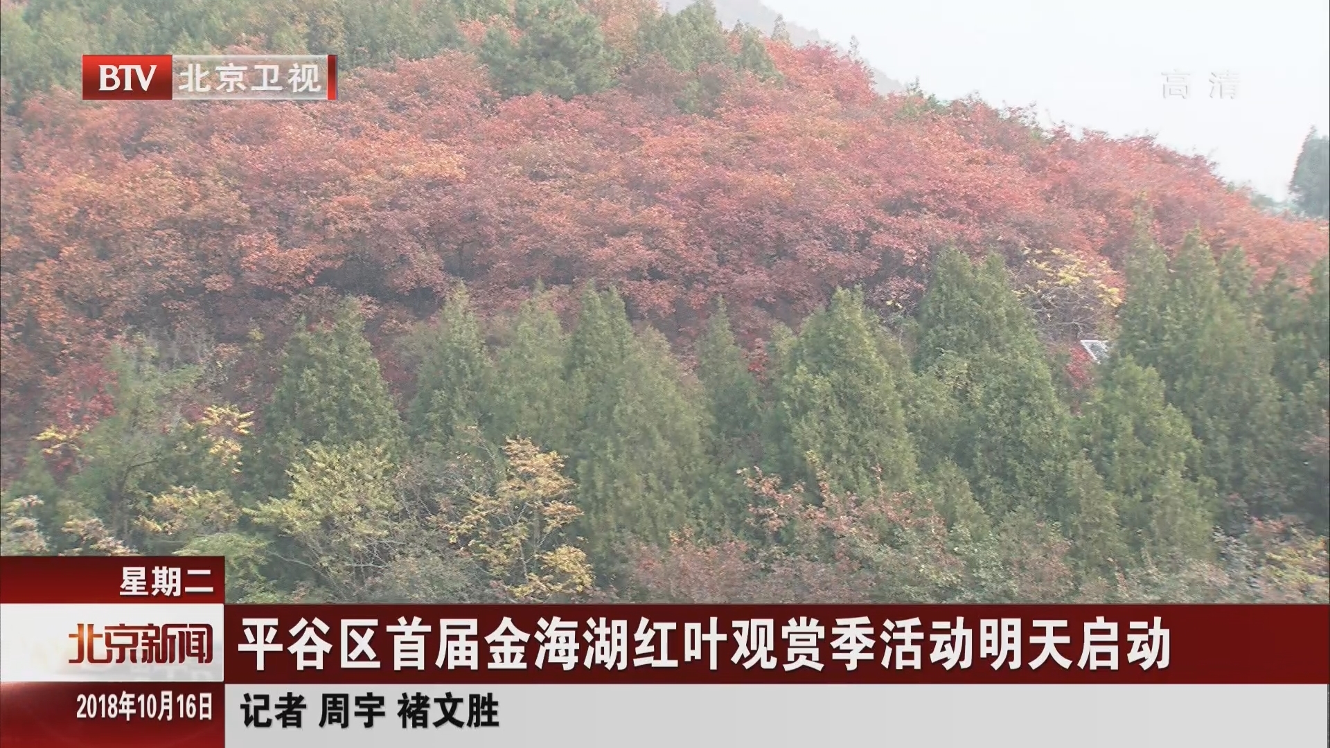 北京:平谷区首届金海湖红叶观赏季活动10月17日启动 北京:平谷区首届金海湖红叶观赏季活动10月17日启动