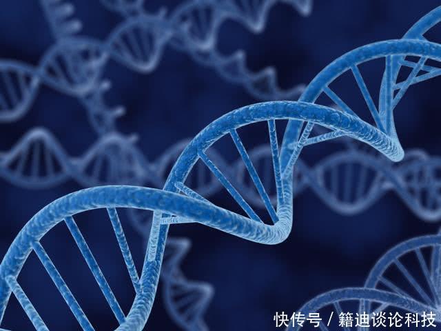 人类头发颜色为什么会不一样?的科学家认为其