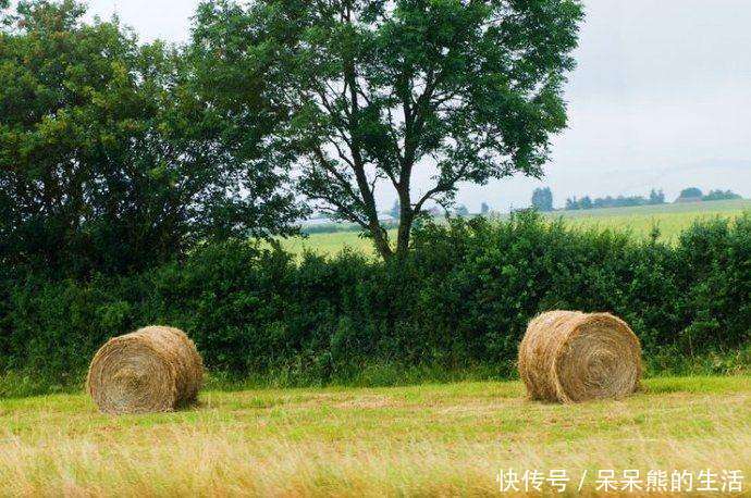 2018高考励志语录, 句句简短霸气!