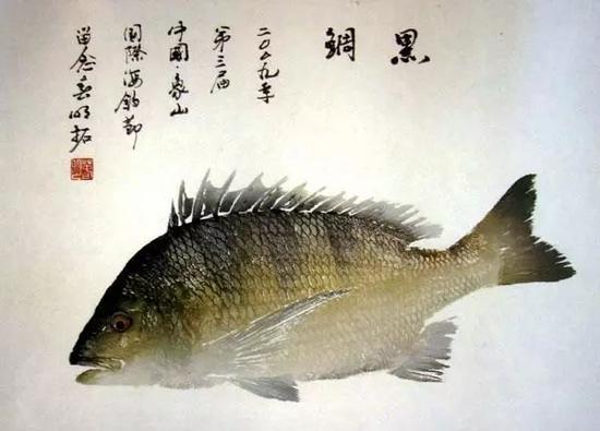 象山石浦三月三 赴一场邂逅春日与海洋的美丽约会