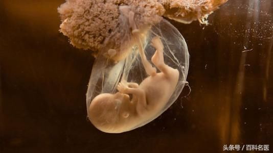 我的胎盘,被婆婆炖汤吃了…吃胎盘到底好不好