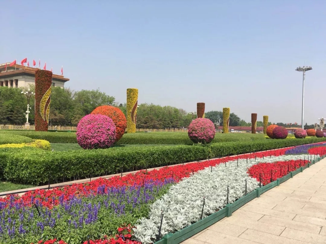 天安门广场五一摆花完成:总计15万盆鲜花上岗
