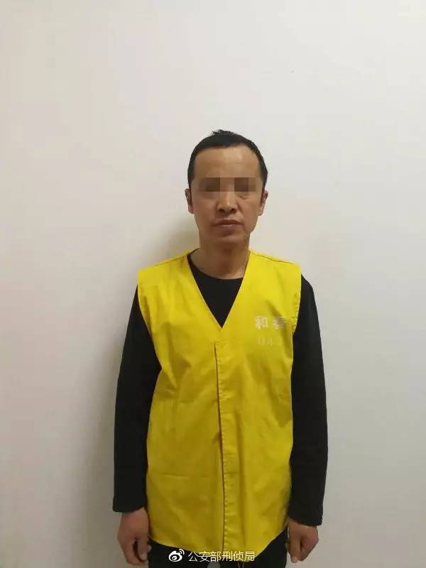 浙江籍女大学生在澳门遭劫杀 11年后嫌犯落网 浙江籍女大学生在澳门遭劫杀 11年后嫌犯落网