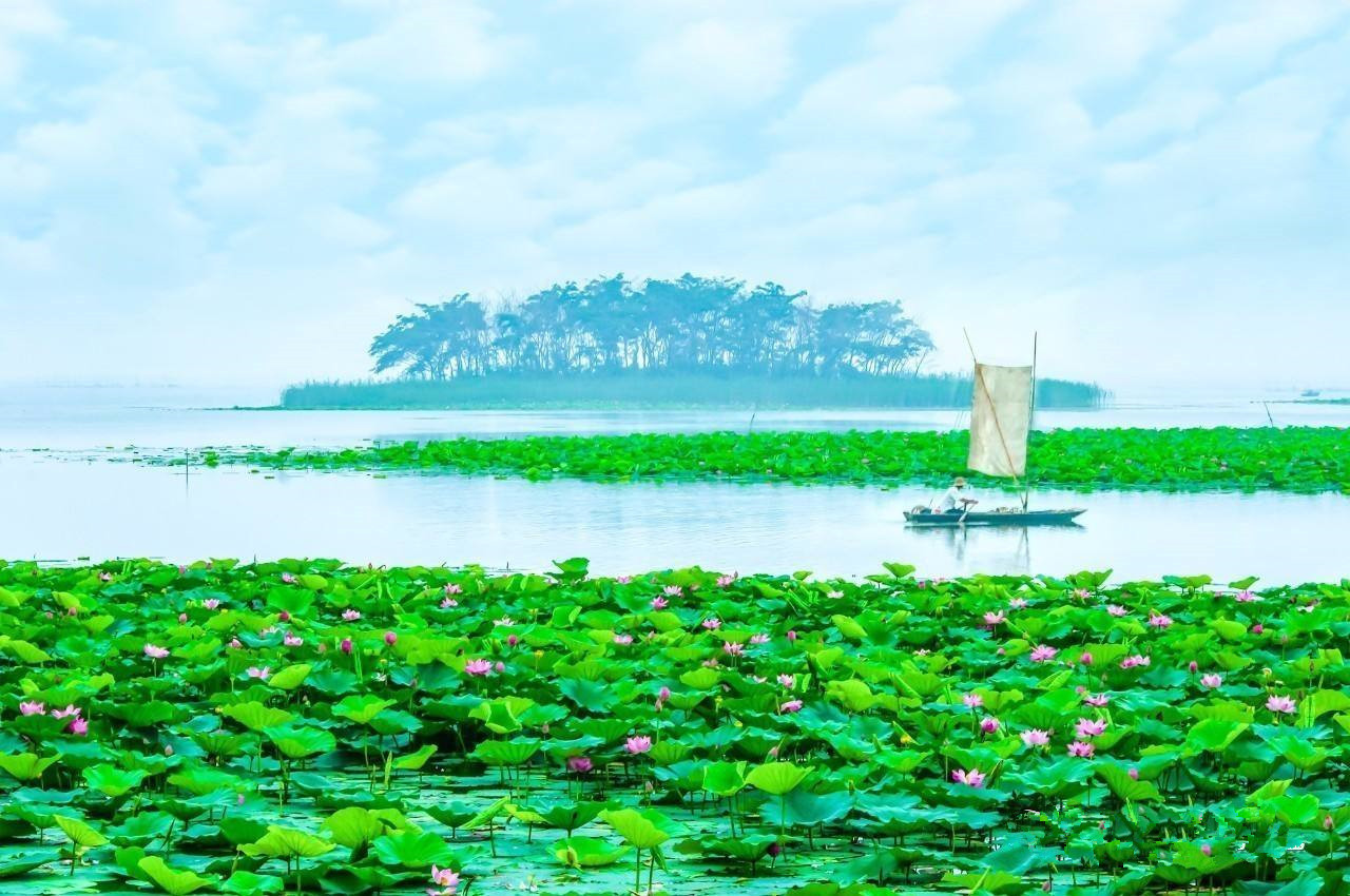 马西良:大运河上明珠——微山湖 马西良:大运河上明珠——微山湖