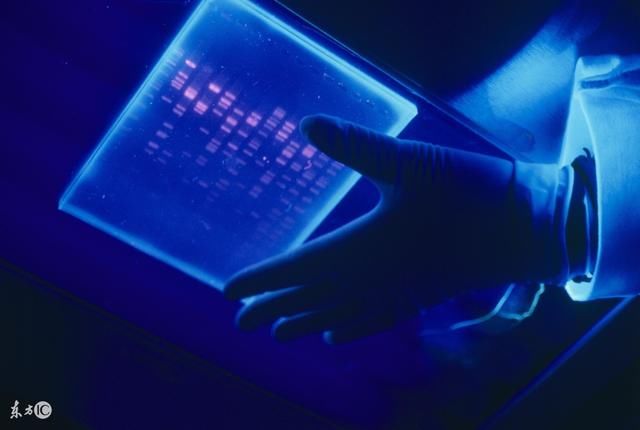 计算机专业毕业生,想从事IT行业,第一份工作你