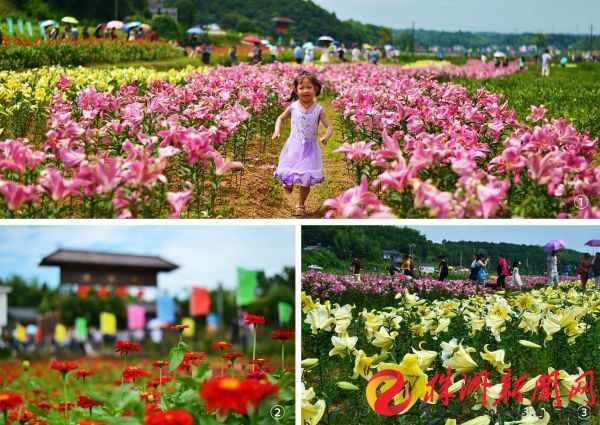 响水村百花园图片