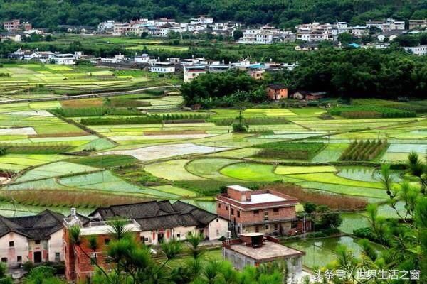 20年后的农村,将发生翻天覆地的变化!你做好准