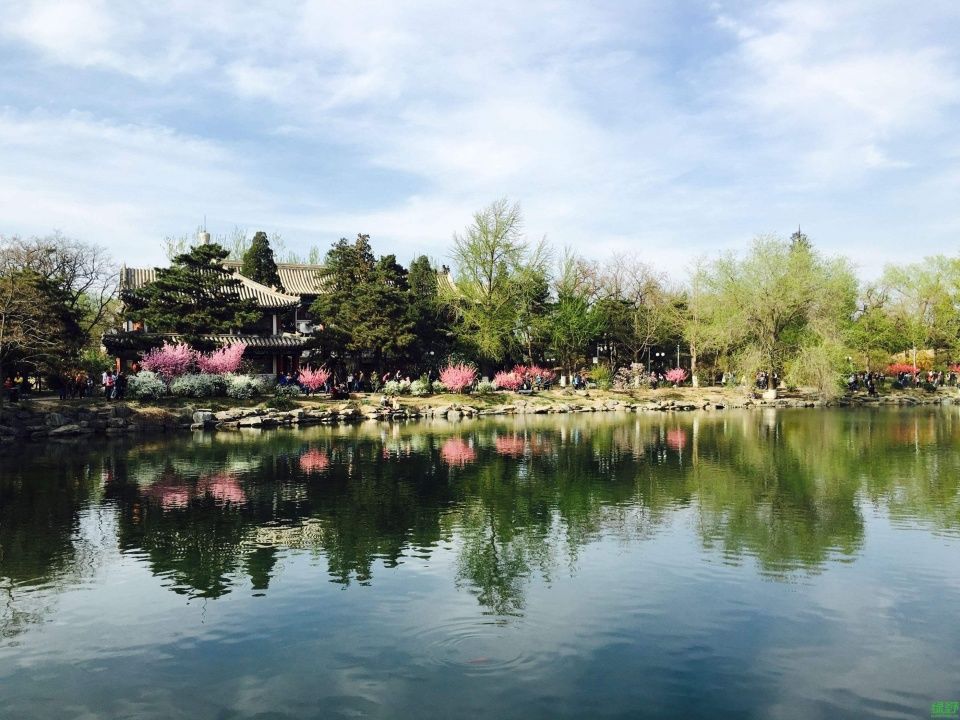 清华大学是中国的最高学府,清华大学的校长是