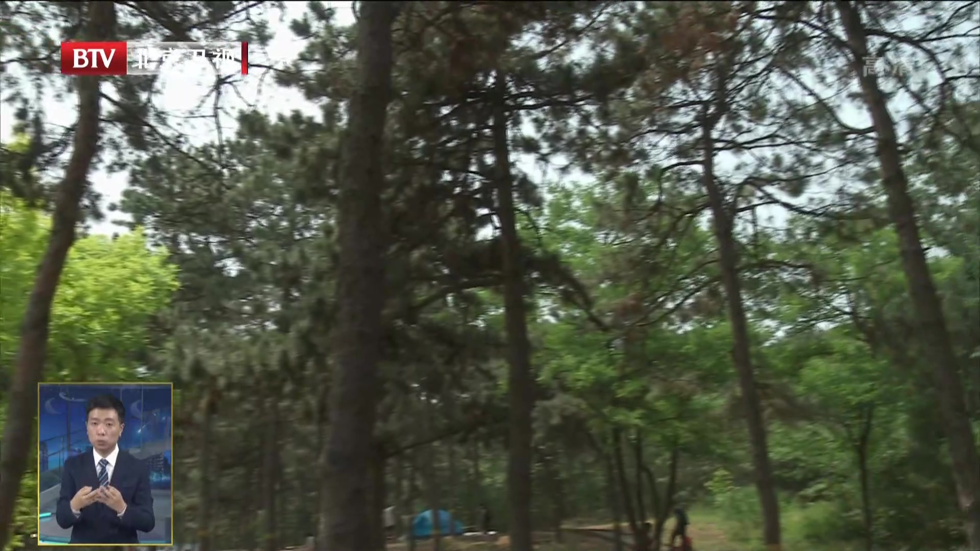 北京已成为世界上生物多样性最丰富都市之一 北京已成为世界上生物多样性最丰富都市之一