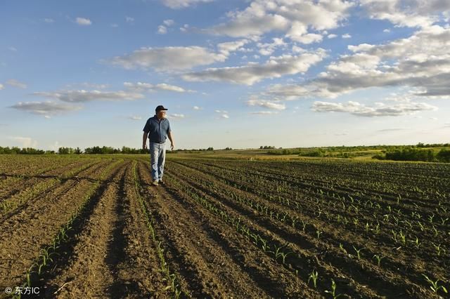 农村集体征地,小城镇户口承包了责任地的,是否
