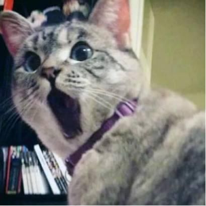 歼20飞一小时要花多钱?够一个普通人生活一辈