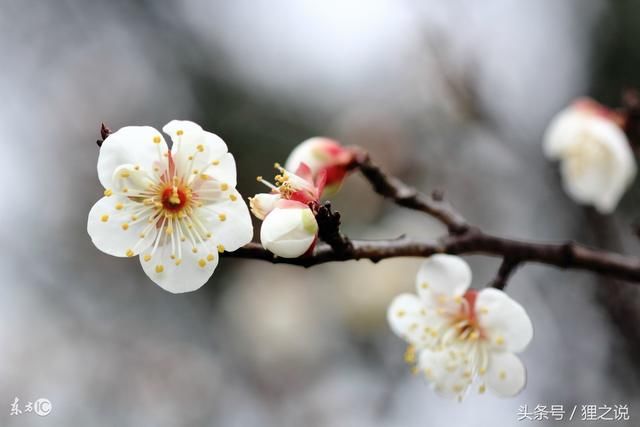 心酸:定性,知事,选梦,遇人,择城,终老