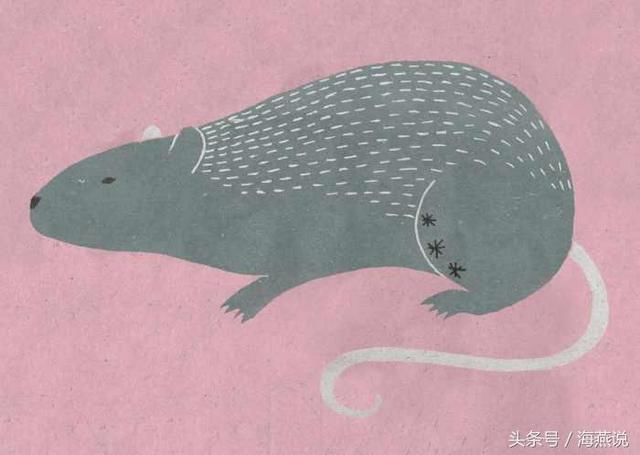 2018年父亲节十二生肖的爸爸应该得到什么样