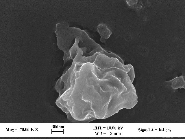 七千倍电子显微镜下pm2.