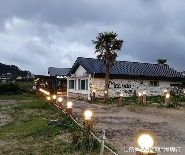 难民入境济州岛后直接对该国取消免签,网友:海