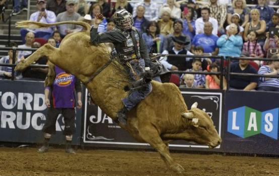 骑牛比赛意外 选手惹怒公牛被甩在地上疯狂踩踏 骑牛比赛意外 选手惹怒公牛被甩在地上疯狂踩踏