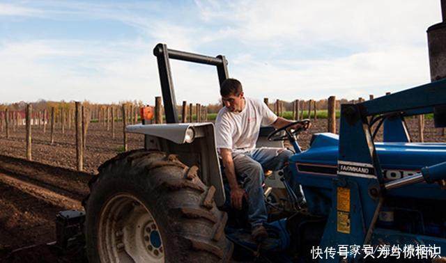 这回是美国西洋参!中国海关回国带这样东西将