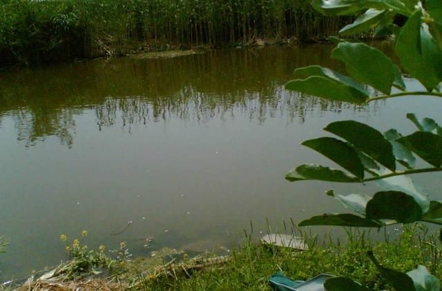 初到陌生水域如何判断是否有鱼,掌握这三点是