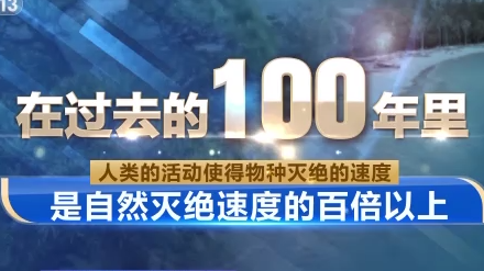 什么是生物多样性?有何保护意义?一起了解→ 什么是生物多样性?有何保护意义?一起了解→