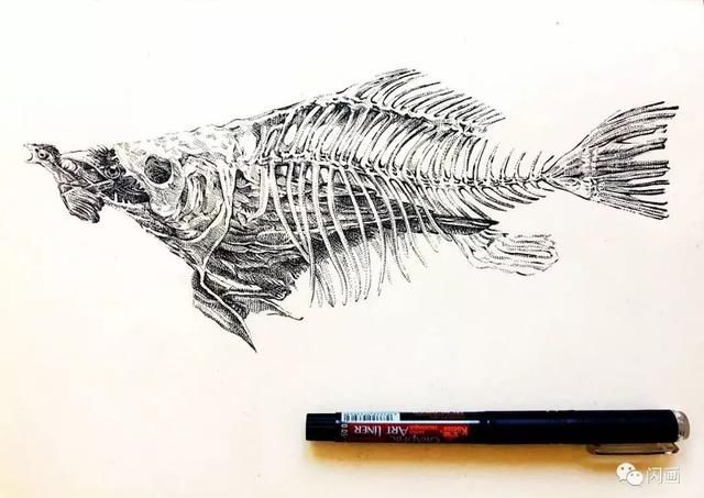 鱼翔天空--韩斐的插画作品教程