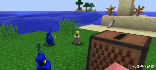 我的世界攻略如何驯服一只鹦鹉鹦鹉有什么用呢