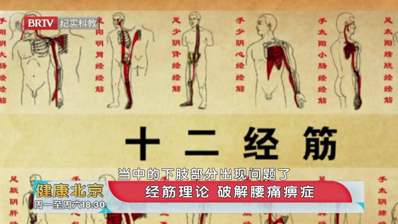 《健康北京》20231103经筋理论 破解腰痛痹症_北京时间