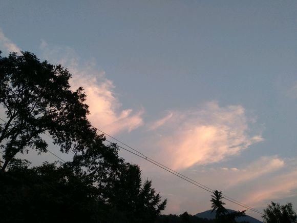 儿子结婚女方家要50万彩礼,父亲在婚礼拿来,女