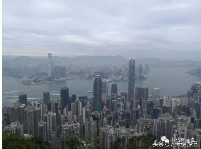 游记:网友分享带小孩或者老人去香港该怎么玩