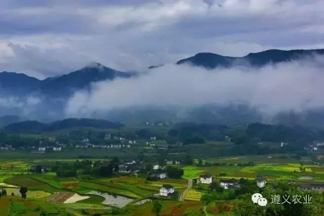 农民日报二论乡村振兴:我们要怎样建设村?