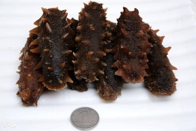 海参如何吃 什么时候吃 每天吃多少为宜?