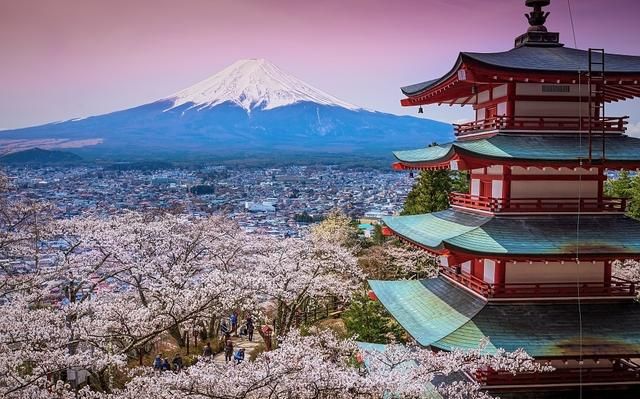 日本樱花季 | 睡过京都四季,日本才算没白来!