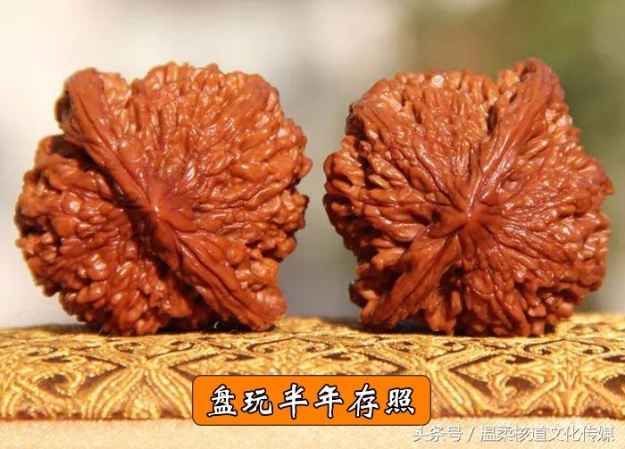 文玩核桃之满天星狮子头3年盘玩的转变