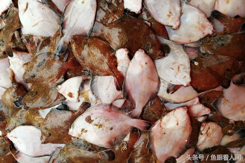 北方农村大集货物品种多 价格低 海鲜水果样样