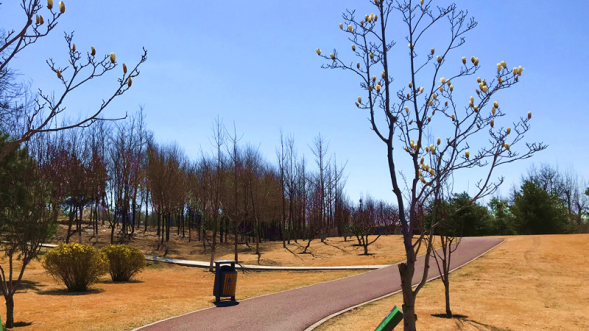 健步走和骑行爱好者有福了!北京今年再建283公里绿道 健步走和骑行爱好者有福了!北京今年再建283公里绿道