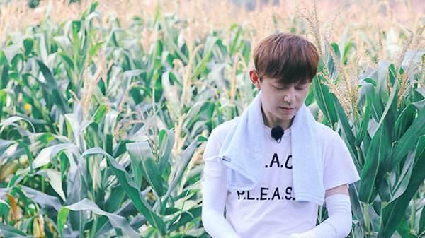 《向往的生活》何炅欺负黄磊,只聊天不干活?真