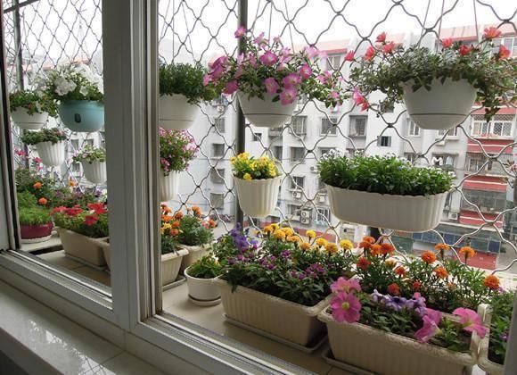 阳台养花这样搞,几个技巧一学会,全楼羡慕的流口水!