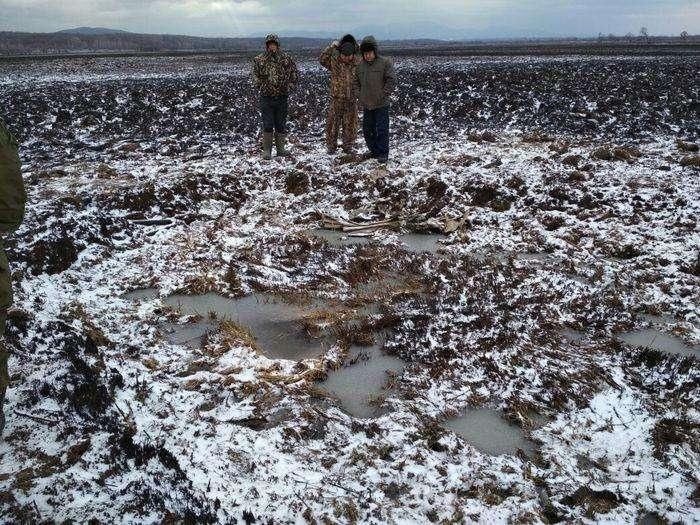 村民在沼泽地发现68年前苏联轰炸机, 部分配件依然完好