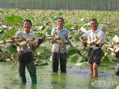 【领航新征程】“一村一品一店”成为富民强区新引擎 【领航新征程】“一村一品一店”成为富民强区新引擎