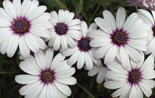 百家姓中的(许姓)宝宝取名都与那些好名字