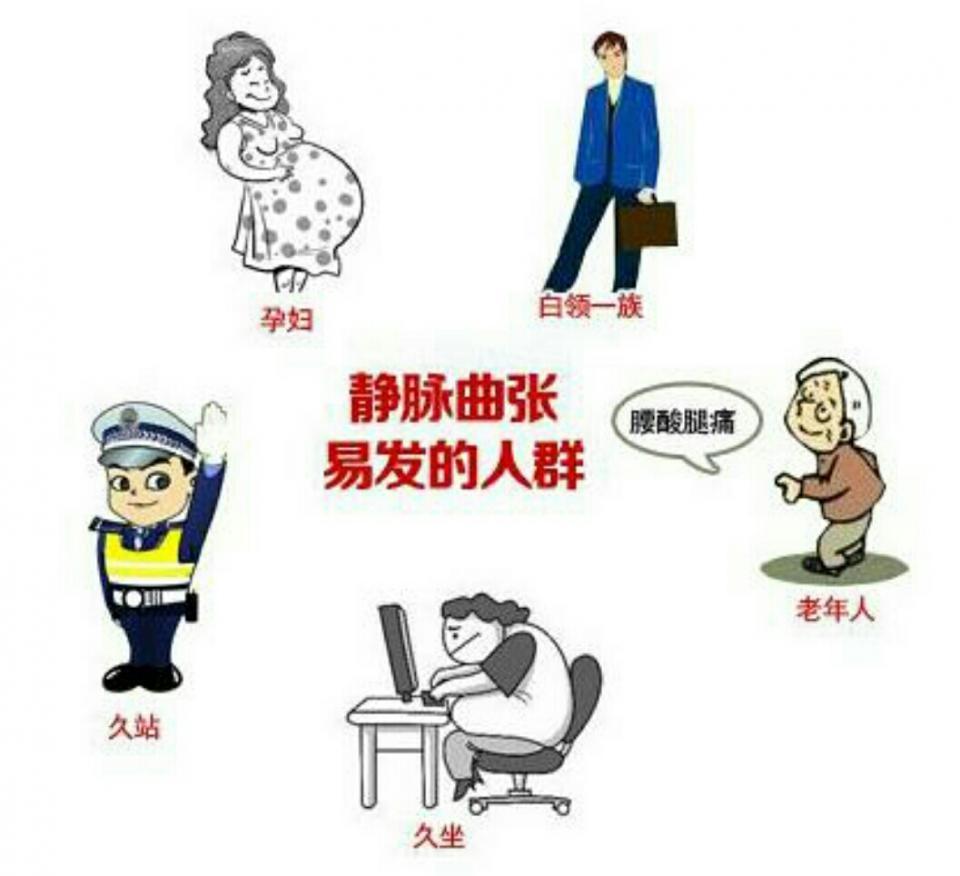 小腿静脉曲张是最重要的疾病,也是四肢血管疾患中最常见的疾病之一.