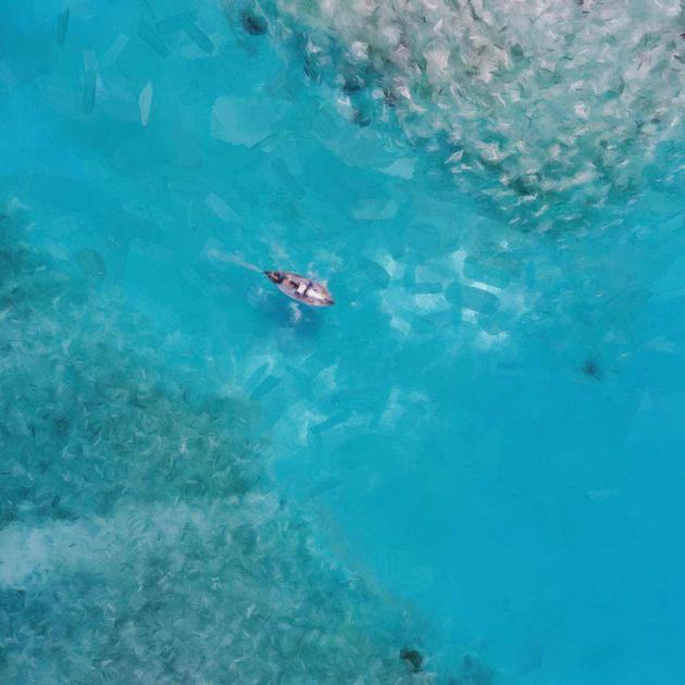 Adobe 出品的App 让你亲手把照片变成油画大