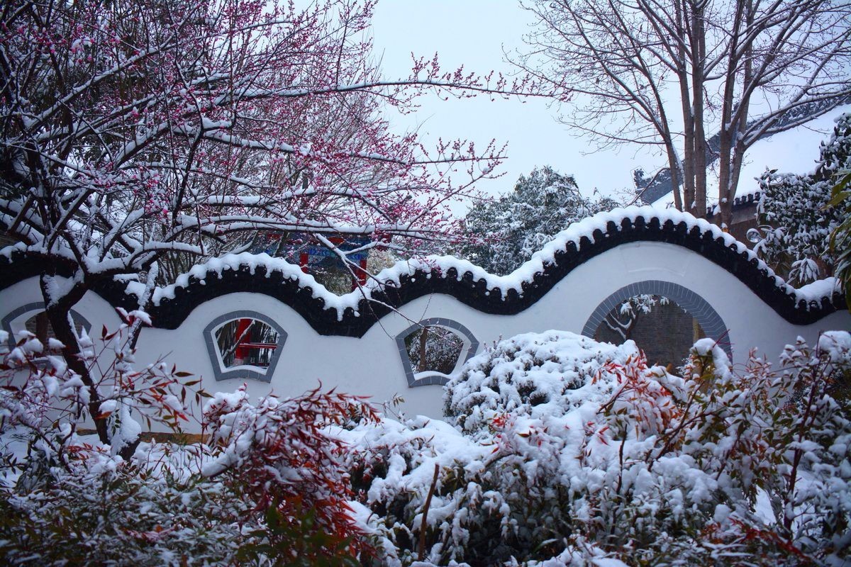 昨日內鄉縣縣衙又落雪