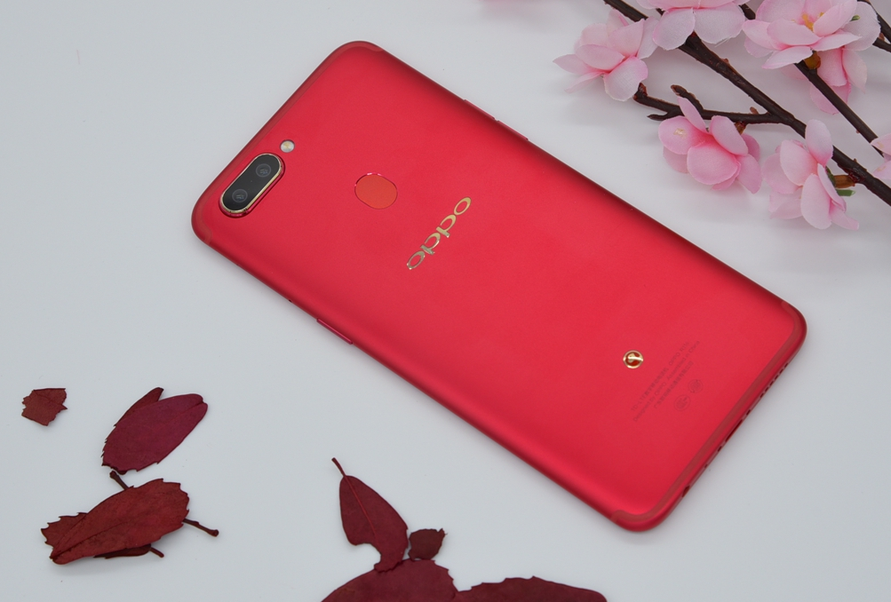 OPPO R11s星幕新年版,Lucky Dog生肖小狗造