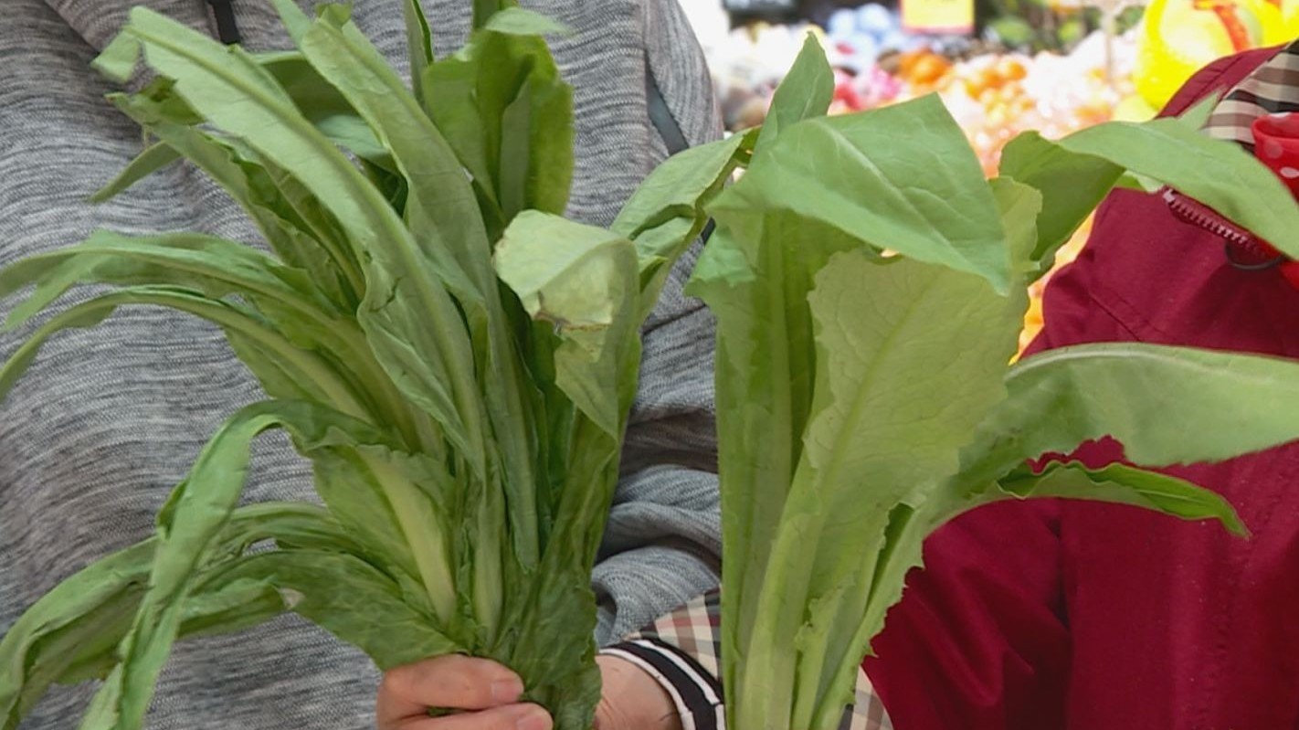 莴笋叶、油麦菜傻傻分不清？专家解答：是一个家族，看茎长短！