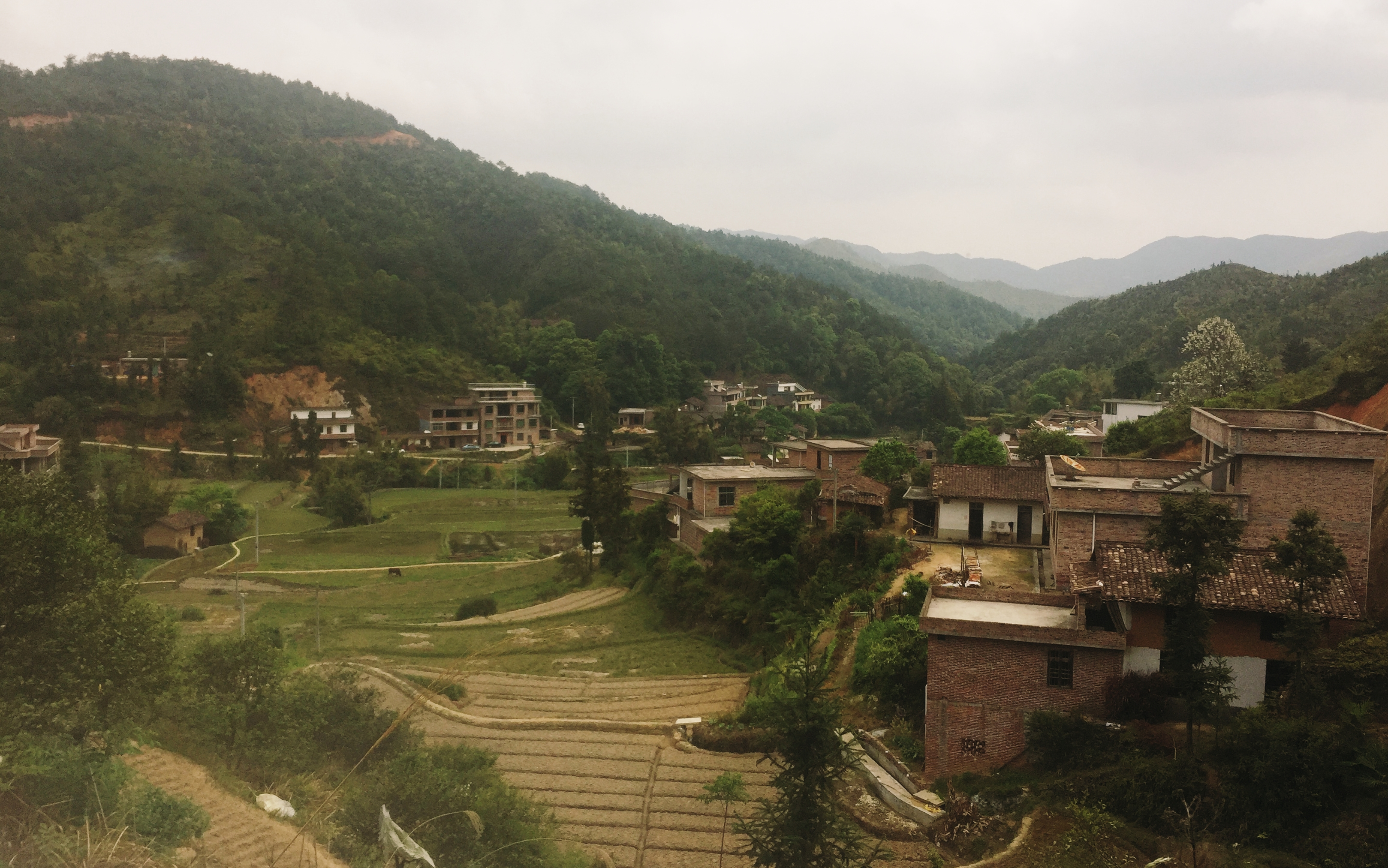 由于留龙村处于赣南边远山区,当地大多采用土葬,墓地分布在山林各处