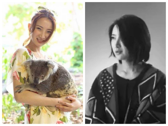 许婧广告代言出道张子萱产后亮相?陈赫又上热搜了